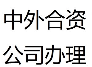 中外合資企業(yè)注冊 中外合資企業(yè)注冊
