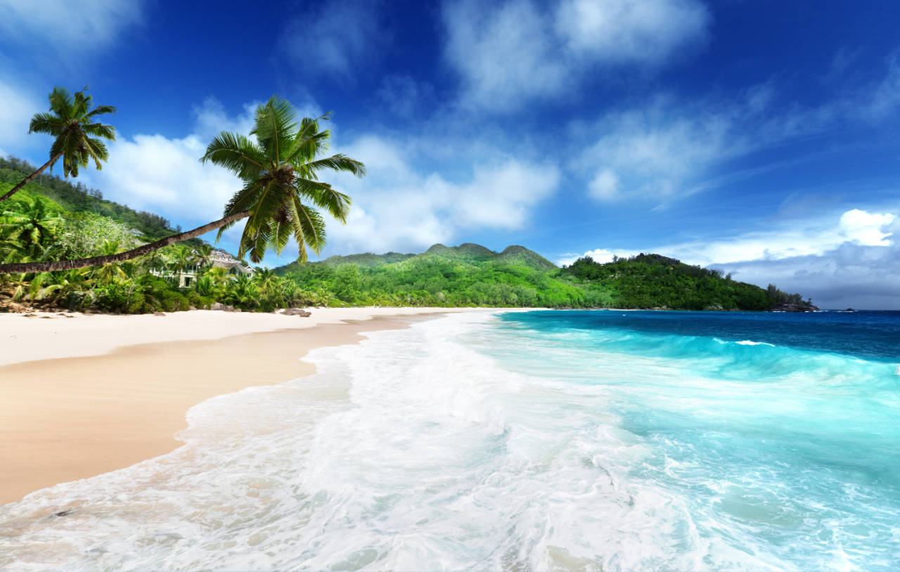 塞舌爾公司的基本架構(gòu)和規(guī)定有哪些? 塞舌爾公司的基本架構(gòu)和規(guī)定有哪些?