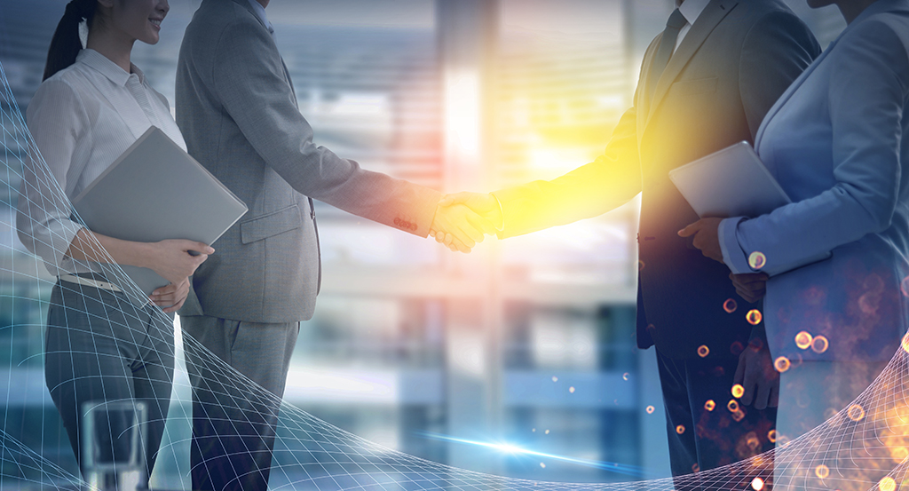 塞舌爾公司注冊辦理的流程，塞舌爾公司需要具備什么條件